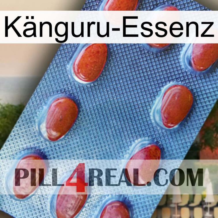 Känguru-Essenz 06